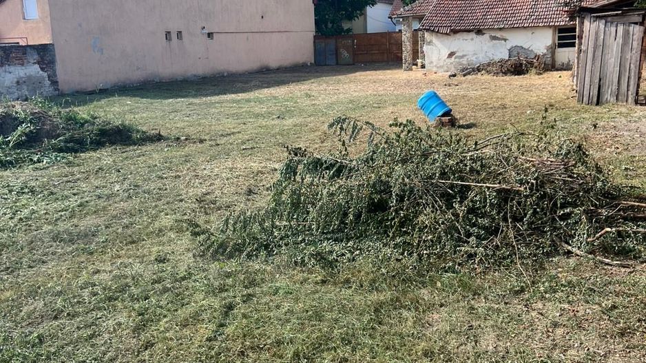 Casa cu teren generos în Timișoara - Poză 2