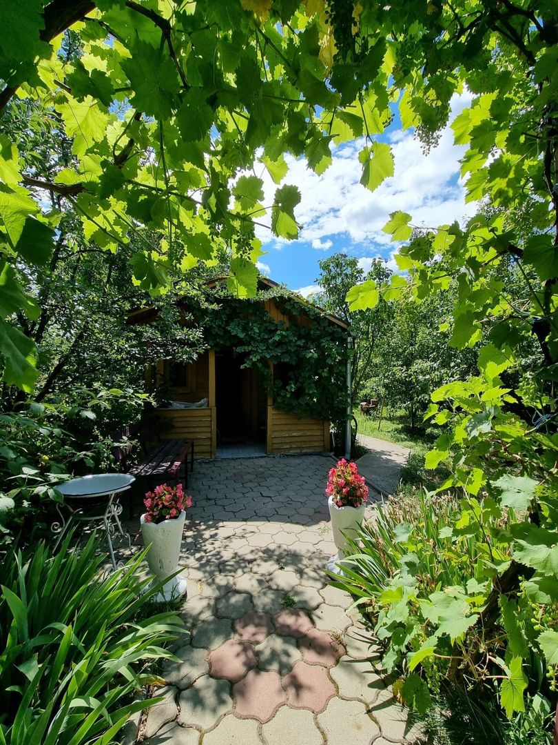 CASA+TEREN, ZONA SUD - Poză 20