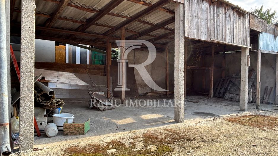 Casă cu etaj în Salonta | 996 mp | Grădină & livadă - Poză 22