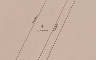 Teren de vanzare Magurele Cartierul Florilor 3500 mp - Poză 3