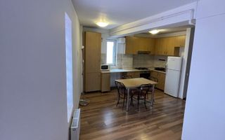 Apartament 1 cameră – Semicentral, zona USAMV/Platinia - Poză 3