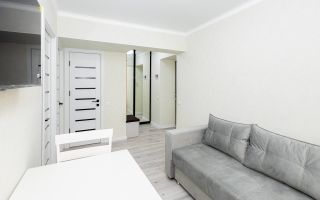 Vânzare, apartament, 1 cameră, str. Ion Neculce, Buiucani - Poză 6