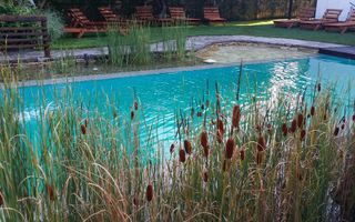 Pensiune de vanzare in Costinesti la doar 0.9 m distanta de plaja - Poză 10