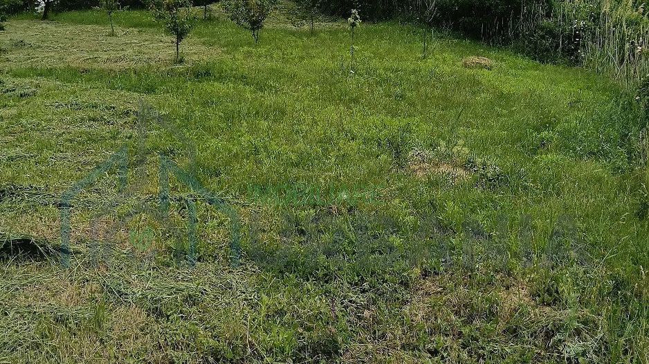 Teren de vânzare în Vorovești, comuna Miroslava – 1.500 mp - Poză 2