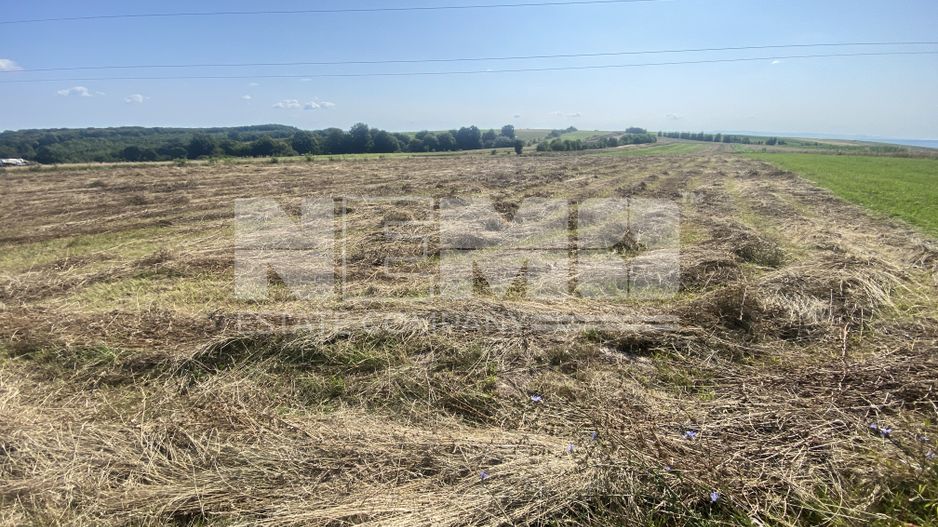 Teren Tarinca | 3400 MP | Front 24 Metri - Poză 2