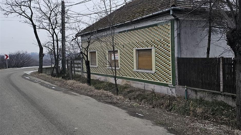 Casa Uileacu de Cris - Poză 1