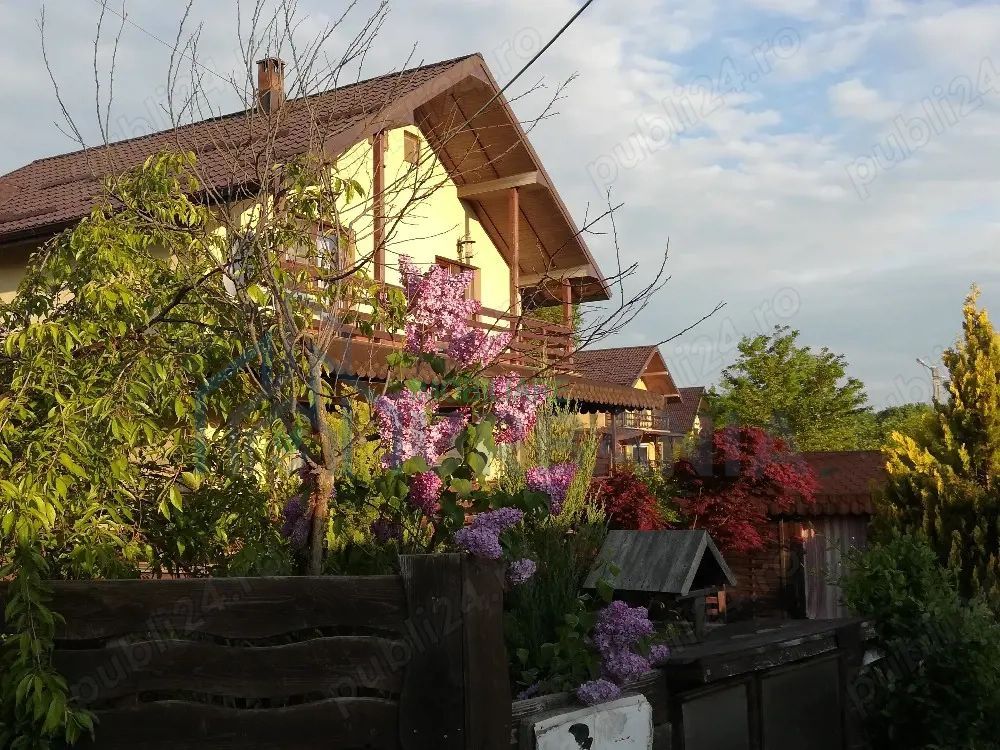 vilă Bârnova, Bucium, Saună, Piscină - Poză 5