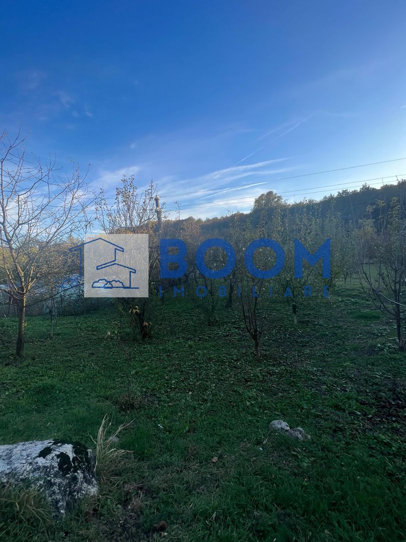 Casa cu livada | Bujoreni | 1550 mp - Poză 3