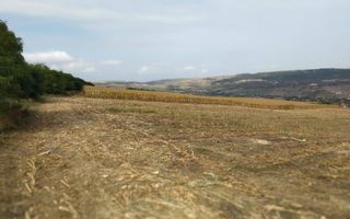 3 Parcele in Zona Fanate-oportunitate unica de investitie-Cluj-Napoca - Poză 1