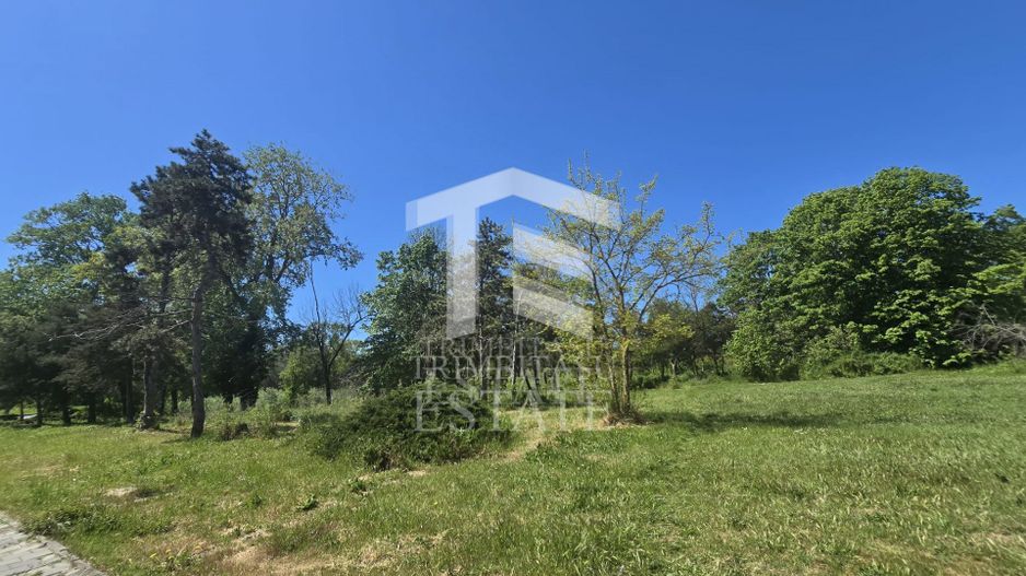NEPTUN - Teren intravilan cu regim de construire IS3C. - Poză 8