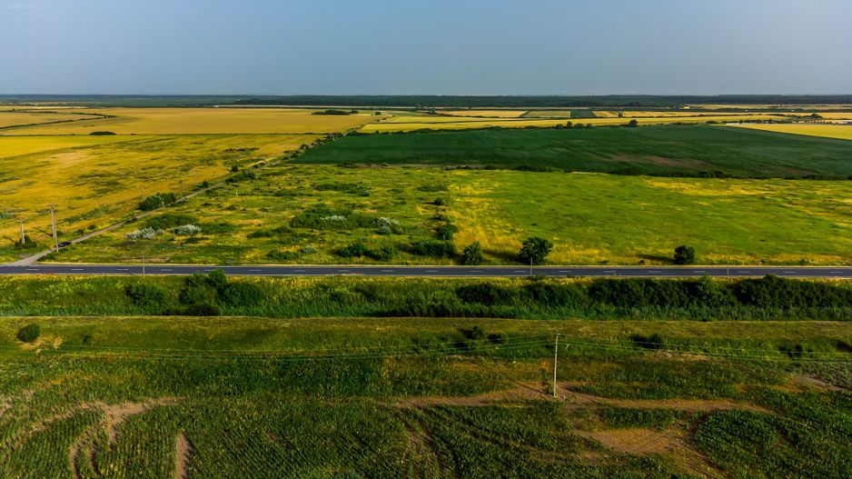 Teren pentru investiție DN7 - Poză 2