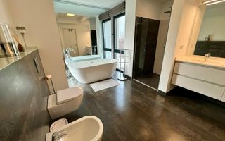 Vila complex privat Erou  Iancu Nicolae - Poză 9