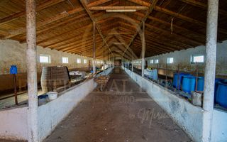 Tariverde - Ferma zootehnica functionala, 3 hectare teren intravilan! - Poză 14