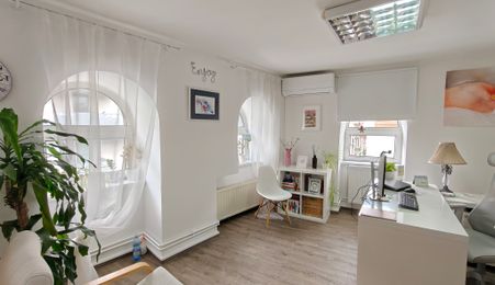 De vânzare - apartament 200 mp utili - Sf. Voievozi - Victoriei