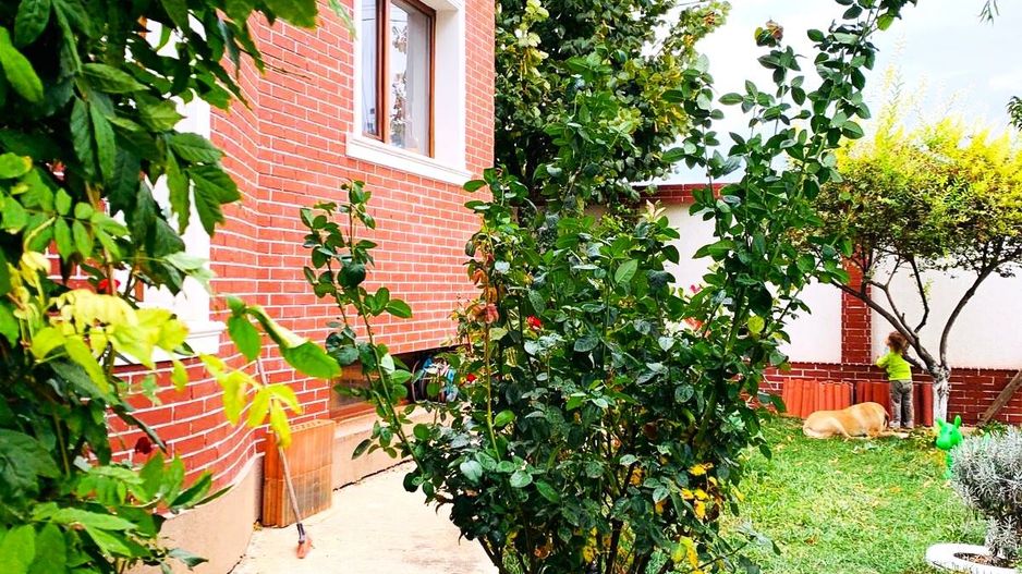 Vila ta de vis te așteaptă! - Poză 4