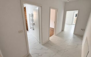 3 camere. Etaj 1. Asfalt.