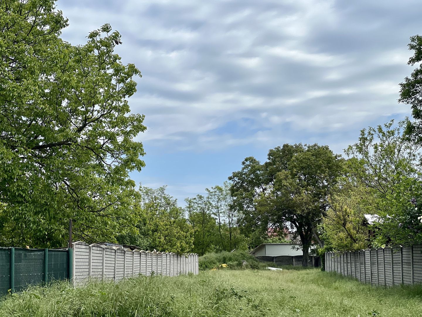 TEREN  TIMISOARA-zona Sagului-1398 MP - Poză 3