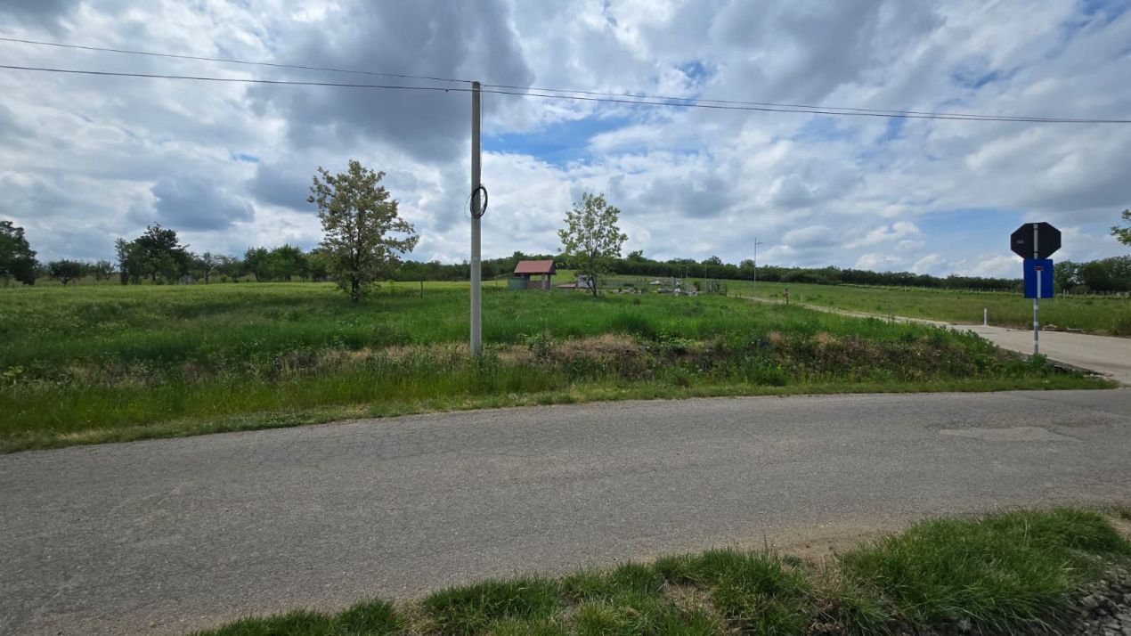 Teren intravilan Ardud Vii Satu Mare - Poză 4