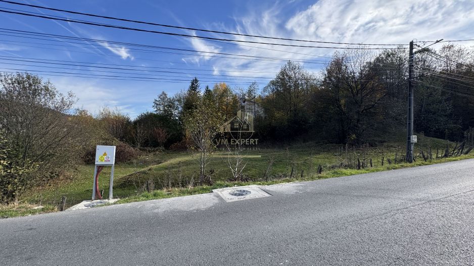 TEREN INTRAVILAN 13167 MP BUGHEA DE SUS ARGES - Poză 1