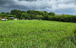 Teren intravilan langa pădure 1260 mp , deschidere 20 ml Prahova -Misl