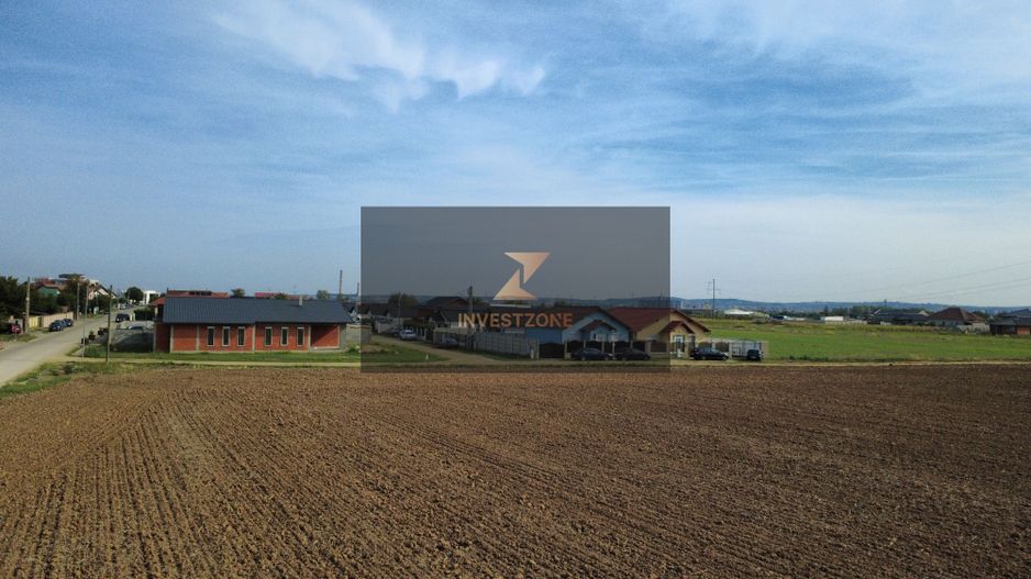 InvestZone vinde 10 ha la Santandrei - Poză 1