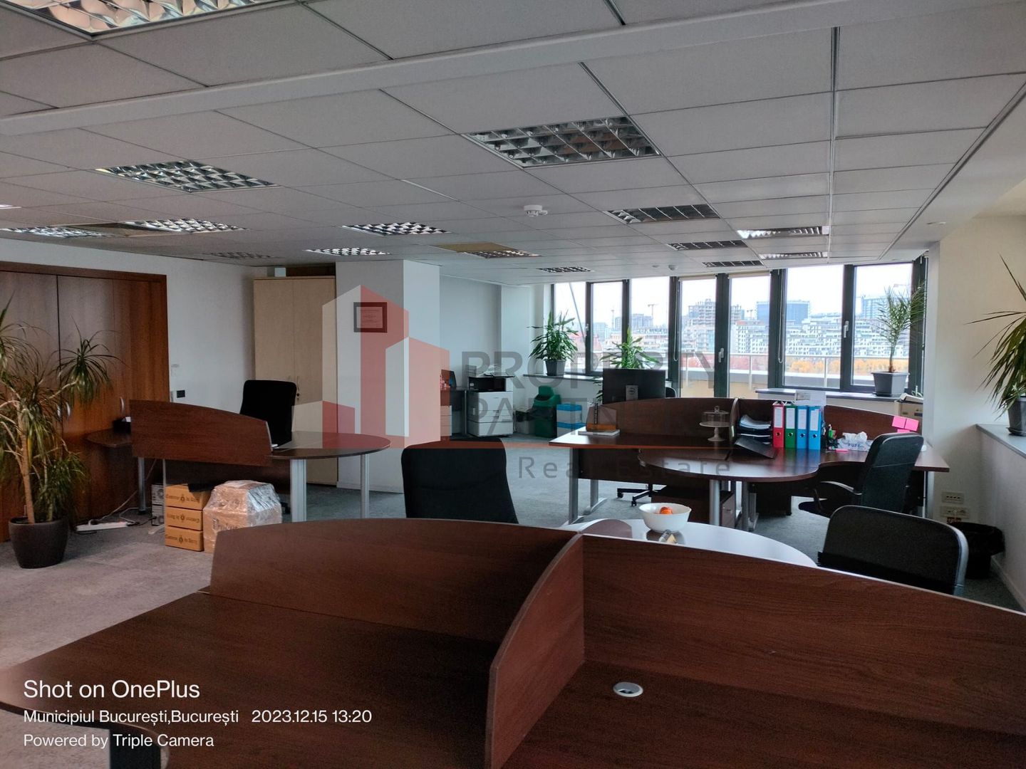 265mp, Barbu Vacarescu, langa One Verdi - Poză 6