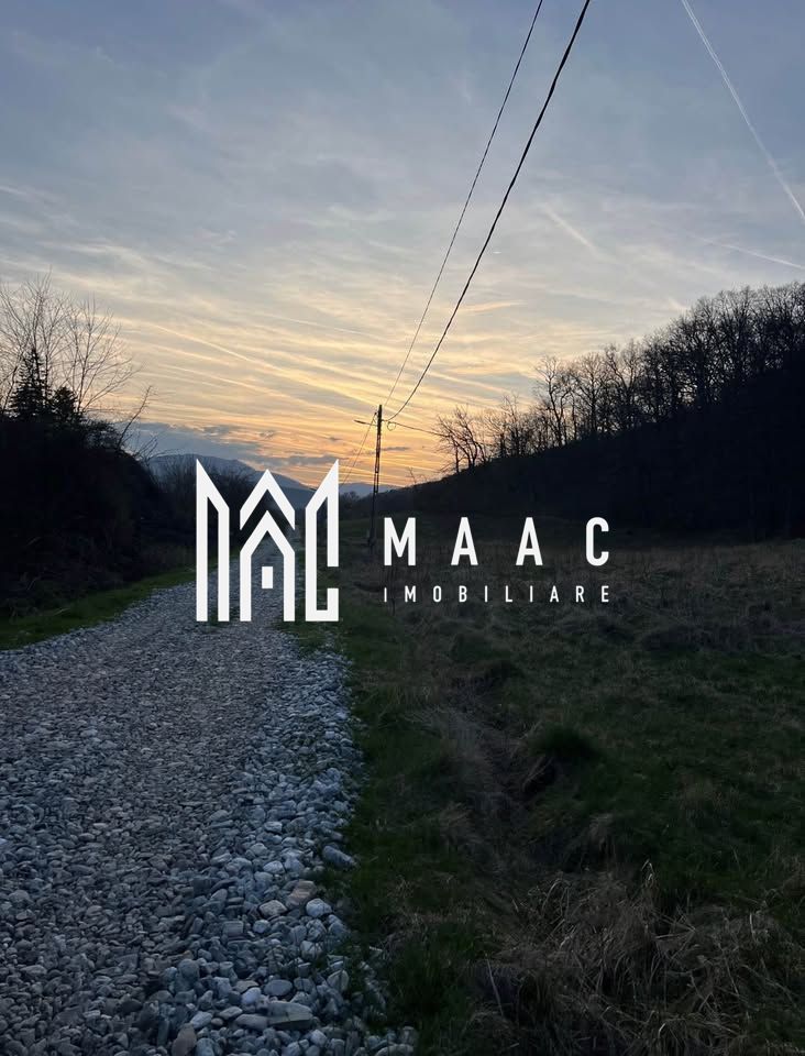 Teren extravilan de vânzare | Tălmaciu | 6.000 mp - Poză 2