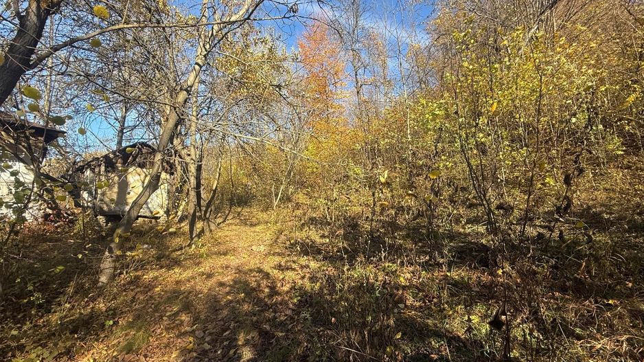 Teren langa pădure 6400mp+casa demolabila-deschidere 35 ml - Poză 3