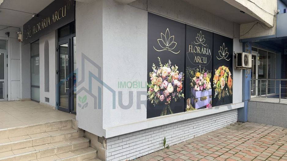 Spațiu comercial de închiriat, Șos. Arcu 27, CL2, Iași - Poză 4