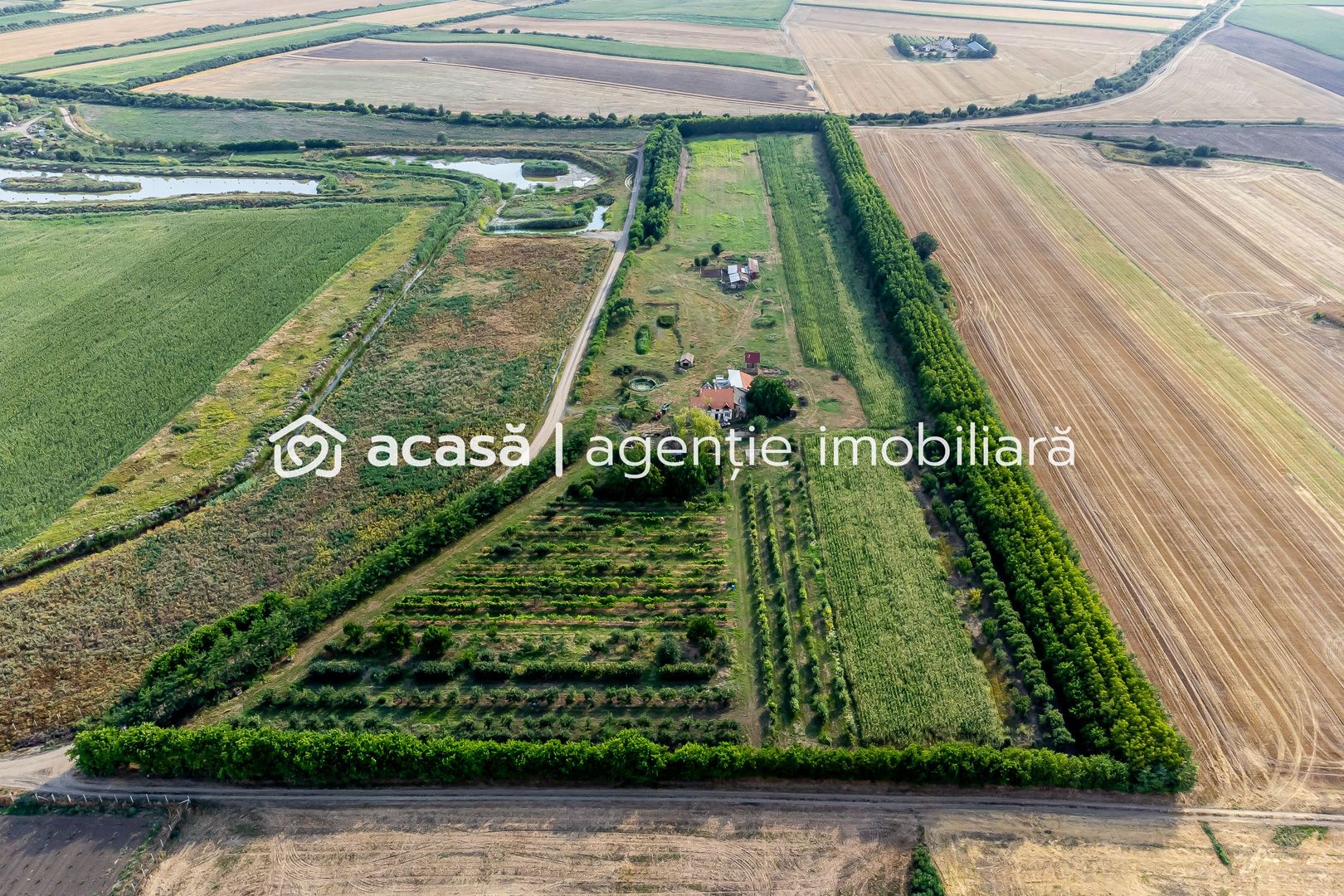 Preț nou! De vânzare teren 7.6 Ha în Pecica - Poză 2