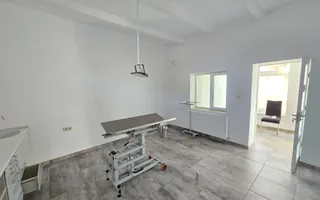 Casa de inchiriat in Vladimirescu (pretabil pentru Birou,Cabinet etc.) - Poză 15