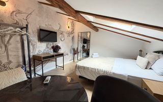 VANZARE HOTEL | 8 UNITATI | INVESTITIE PREMIUM | ULTRACENTRAL – PARCUL CISMIGIU - Poză 13