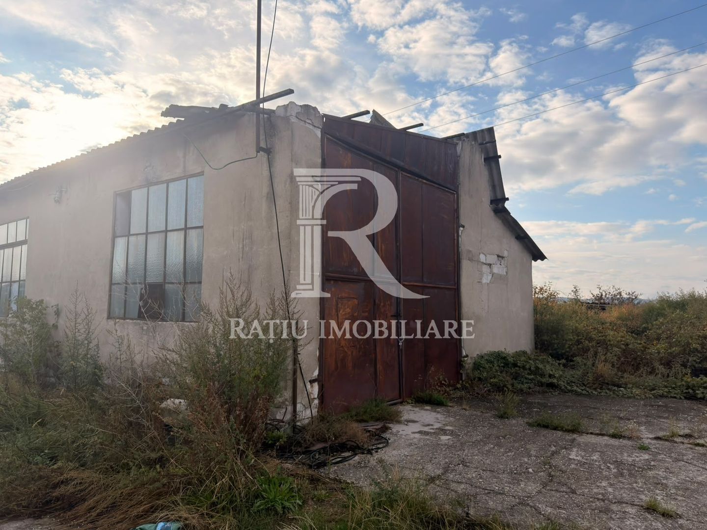 Fermă Sărand | Bihor | 25.659 mp teren intravilan - Poză 7