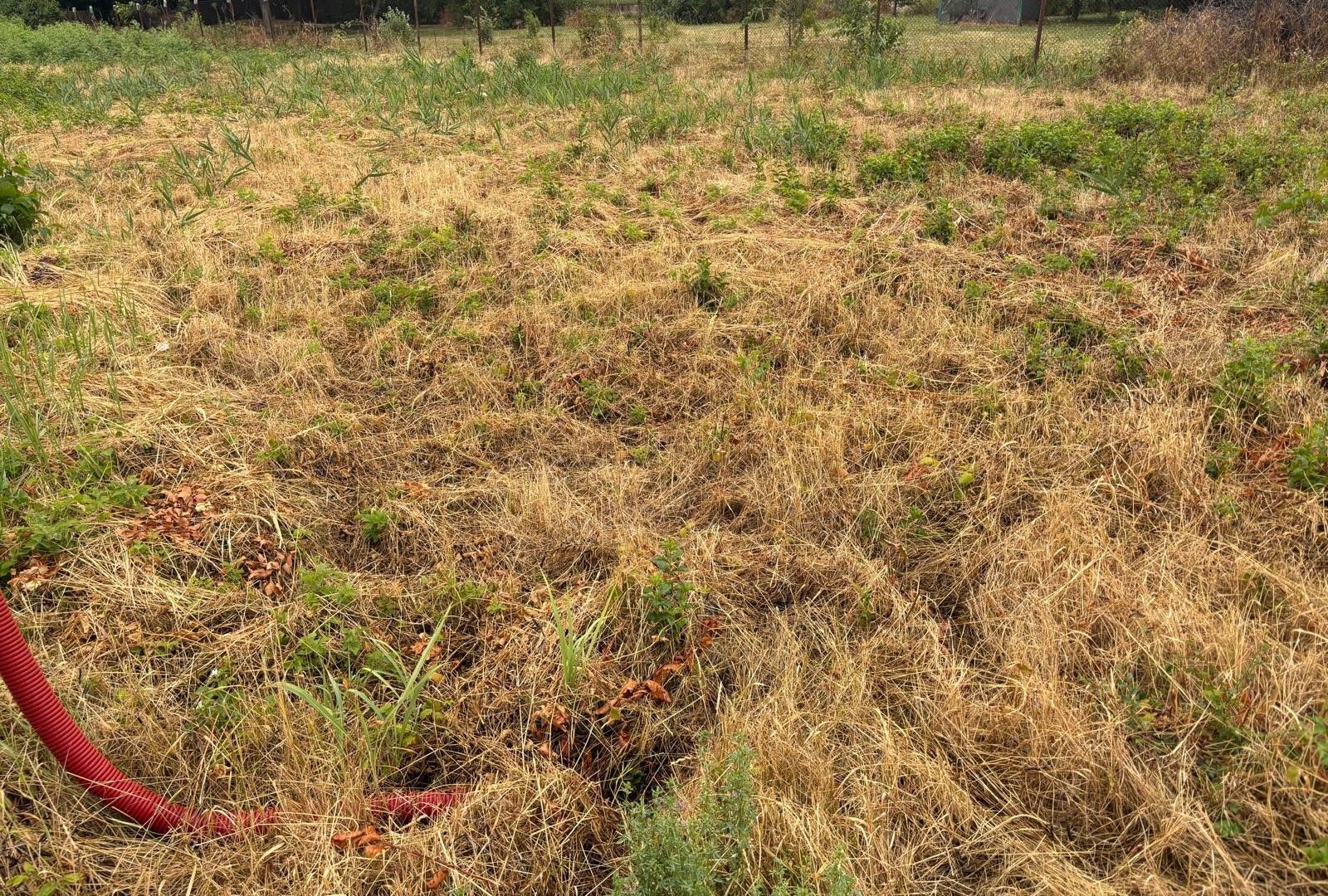 Teren 175 mp in Fratelia - Poză 4