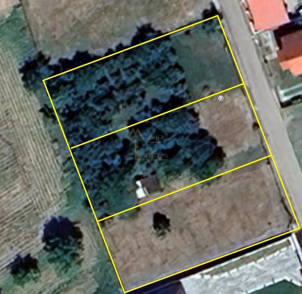 Teren Vetis, 3 parcele de 600mp , zona linistita cu strada asfaltata - Poză 3