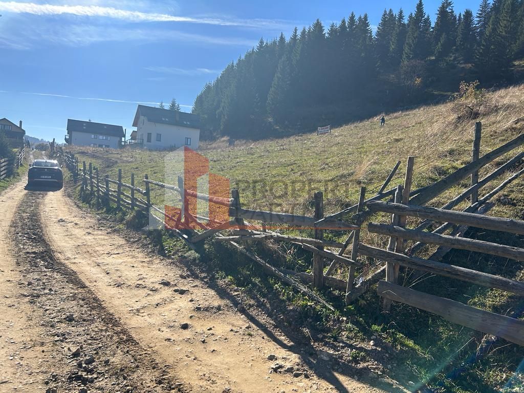 Teren Fundatica intravilan 4500 mp - Poză 15
