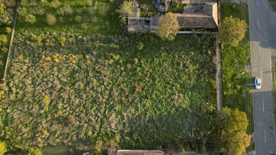 Teren pentru investiții în Gai - Poză 4