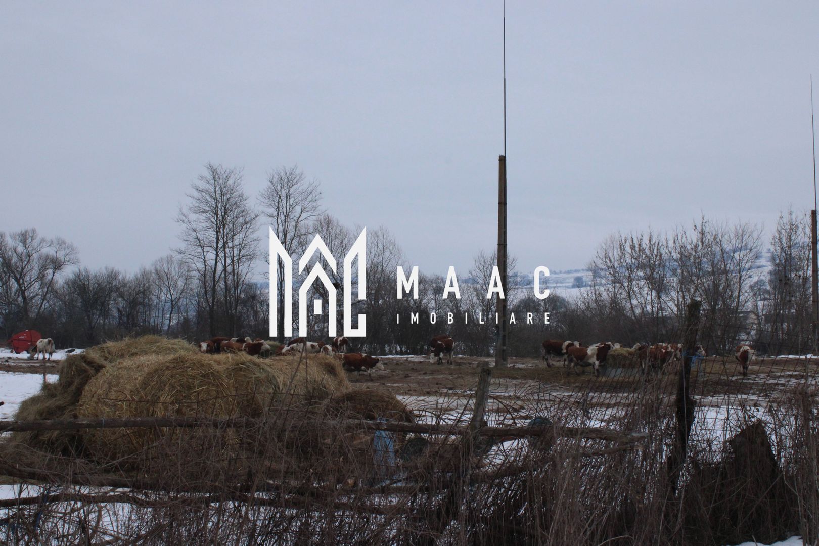 Teren 8000 mp I Intravilan I Utilitati- Vurpar - Poză 4