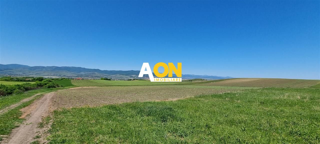 Teren de vanzare Alba Iulia Oarda de Sus - Poză 1