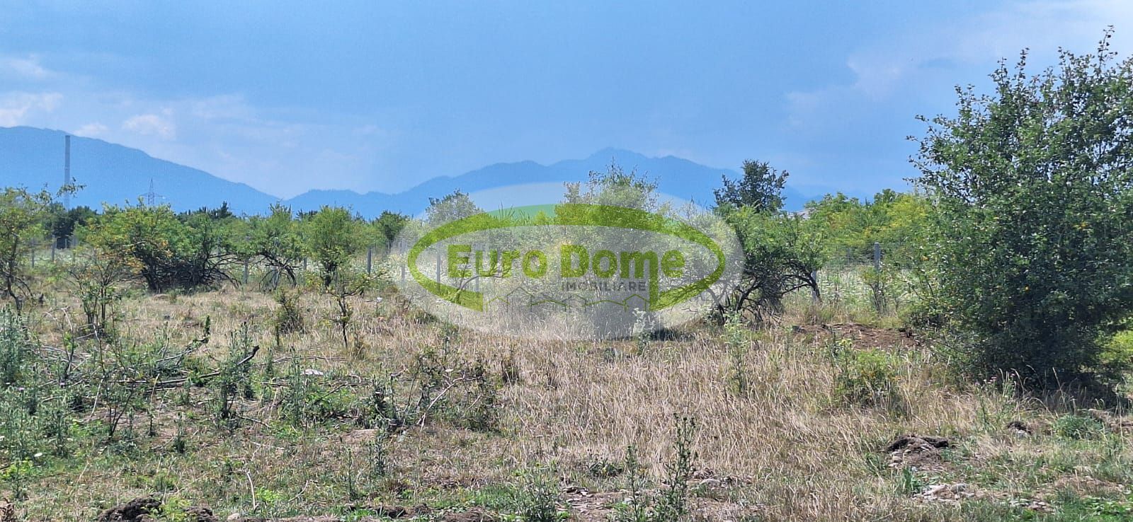 Sanpetru, str. Piersicului, teren 1182mp, 40 euro/mp - Poză 9