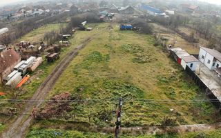 3300 mp  de vânzare in vatra veche Remetea Mare , Timiș - Poză 8