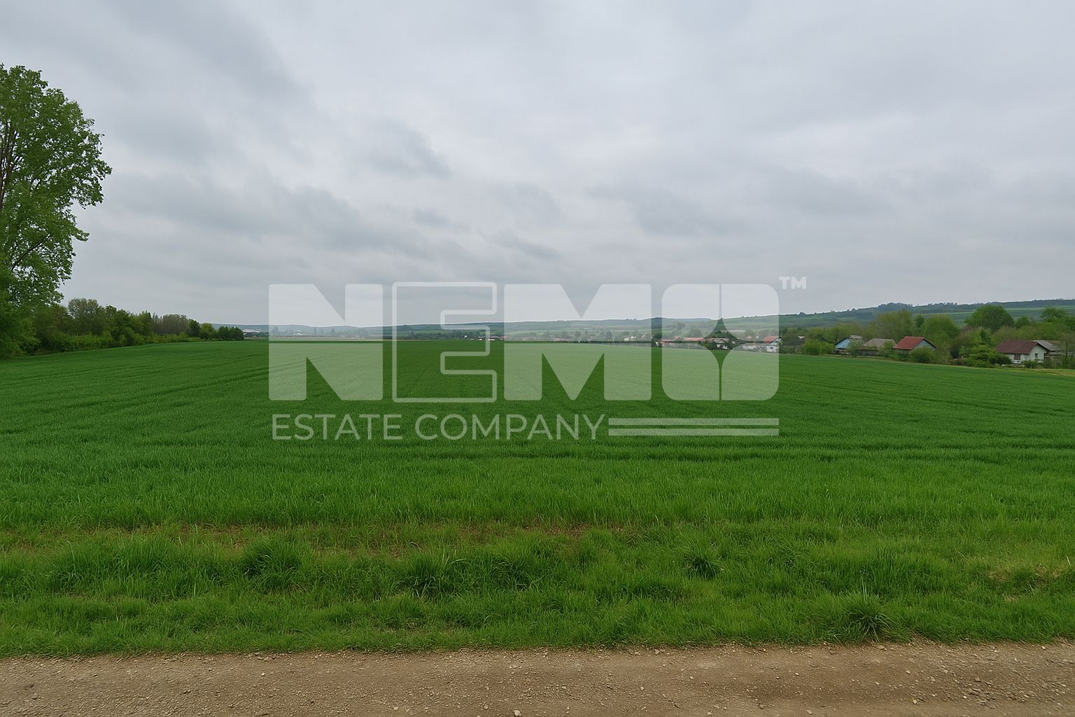 Teren intravilan 3.931 mp | Iacobești | Investiție excelentă - Poză 5