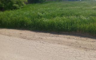 Teren de vânzare în Berceni, judet Bucuresti Ilfov - Poză 2