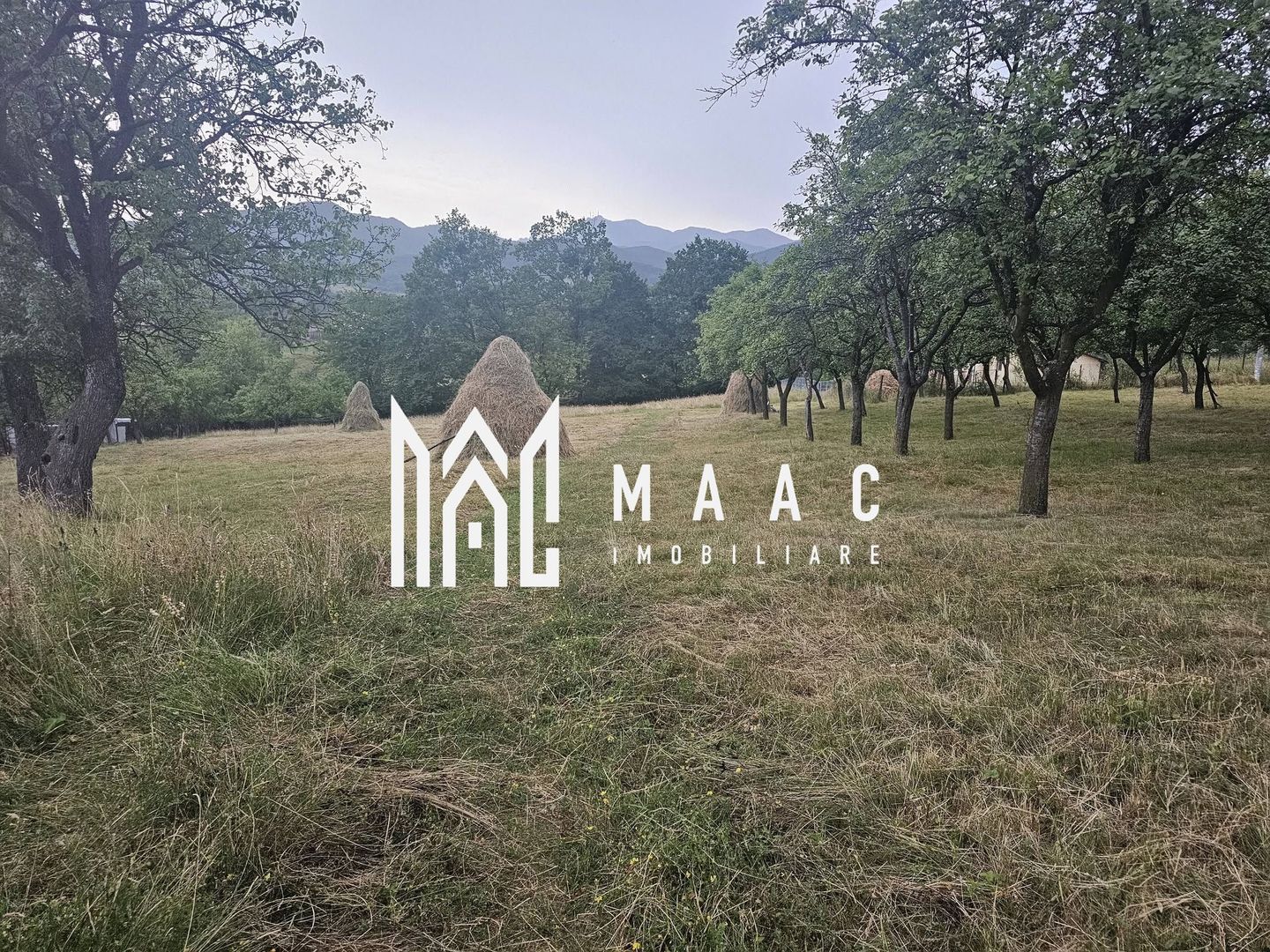 Casă 1 cameră de vânzare | Rădăcinești, Vâlcea | 5500 mp teren - Poză 8