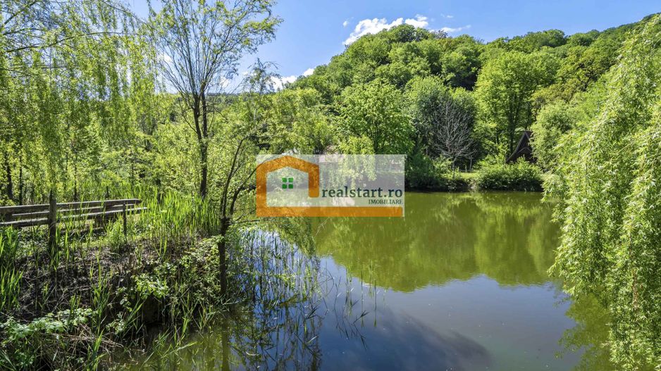 Oportunitate, Restaurant cu MiniPensiune 800mp, 1,8ha teren, Via Transilvanica - Poză 59