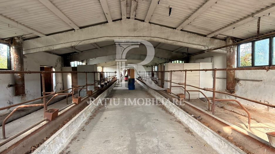 Fermă Sărand | Bihor | 25.659 mp teren intravilan - Poză 3