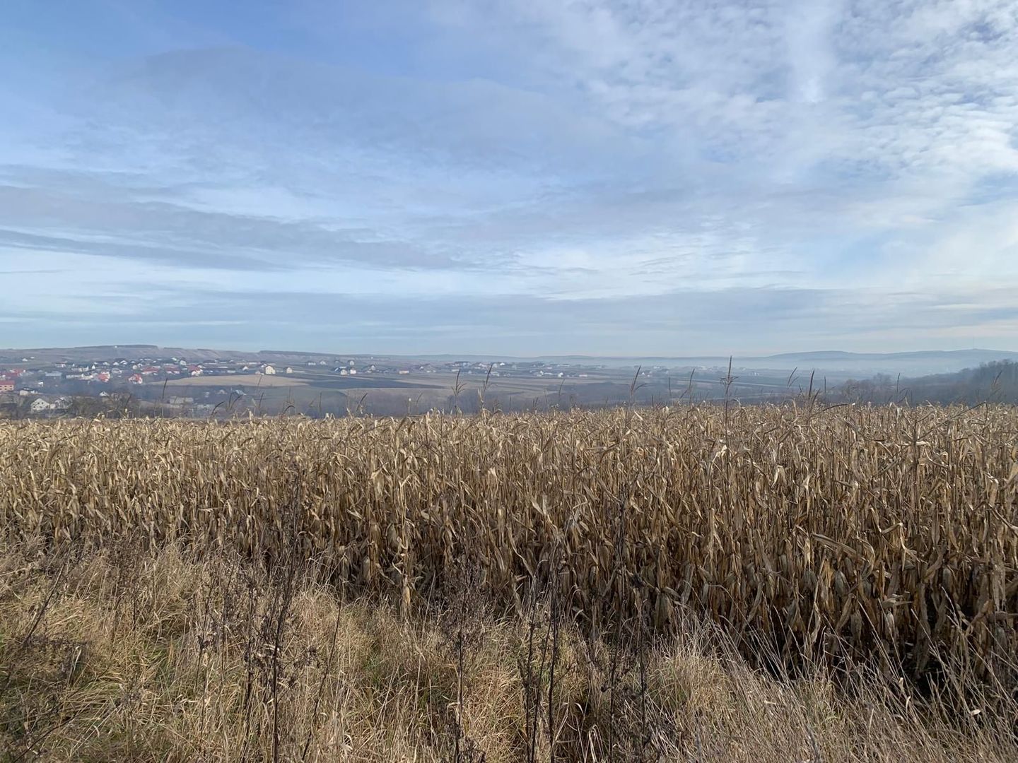 Teren intravilan de vânzare | Cajvana | 7.800 mp - Poză 8