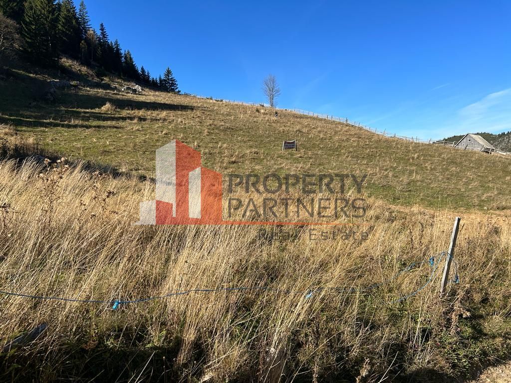 Teren Fundatica intravilan 4500 mp - Poză 12