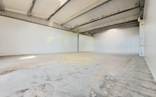 Spatiu tip Hala Noua I Sanandrei - Poză 1