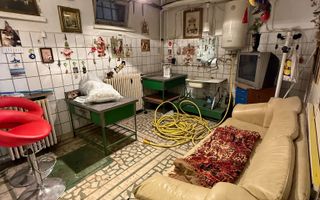 Spațiu Comercial de Închiriat pentru Antreprenori. - Poză 6